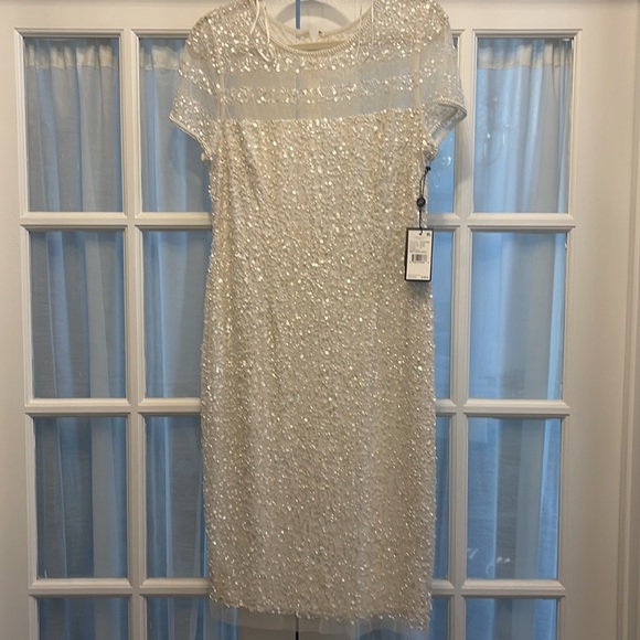 Beautiful NWT Ivory Adrianna Papell 40” dress. - Picture 3 of 4